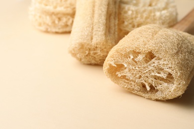 Photo of Natural shower loofah sponges on beige background, closeup. Space for text