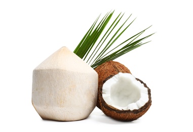 Fresh ripe coconuts with leaves on white background