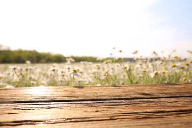 Empty wooden table in blooming chamomile field