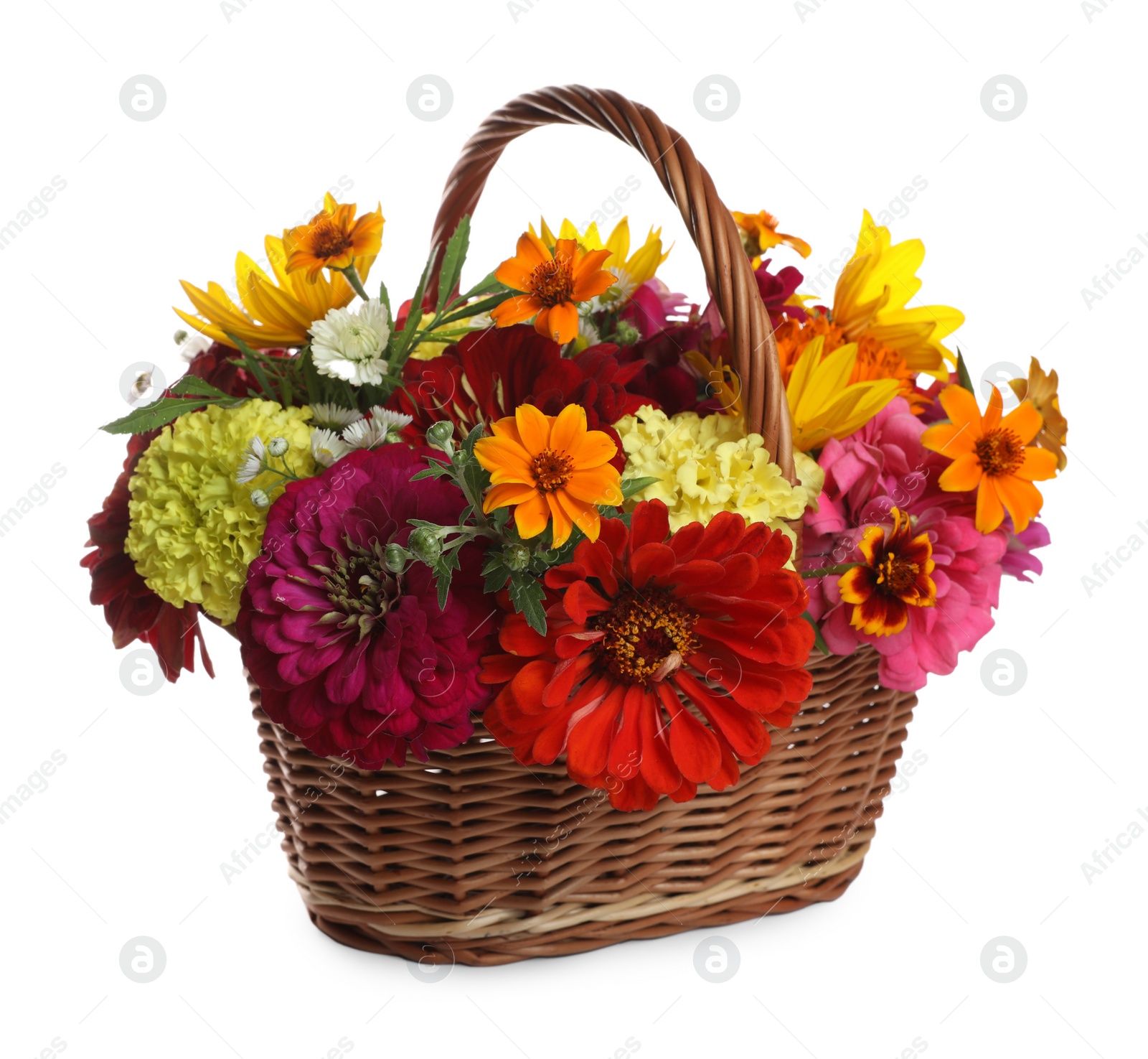 Photo of Beautiful wild flowers in wicker basket isolated on white