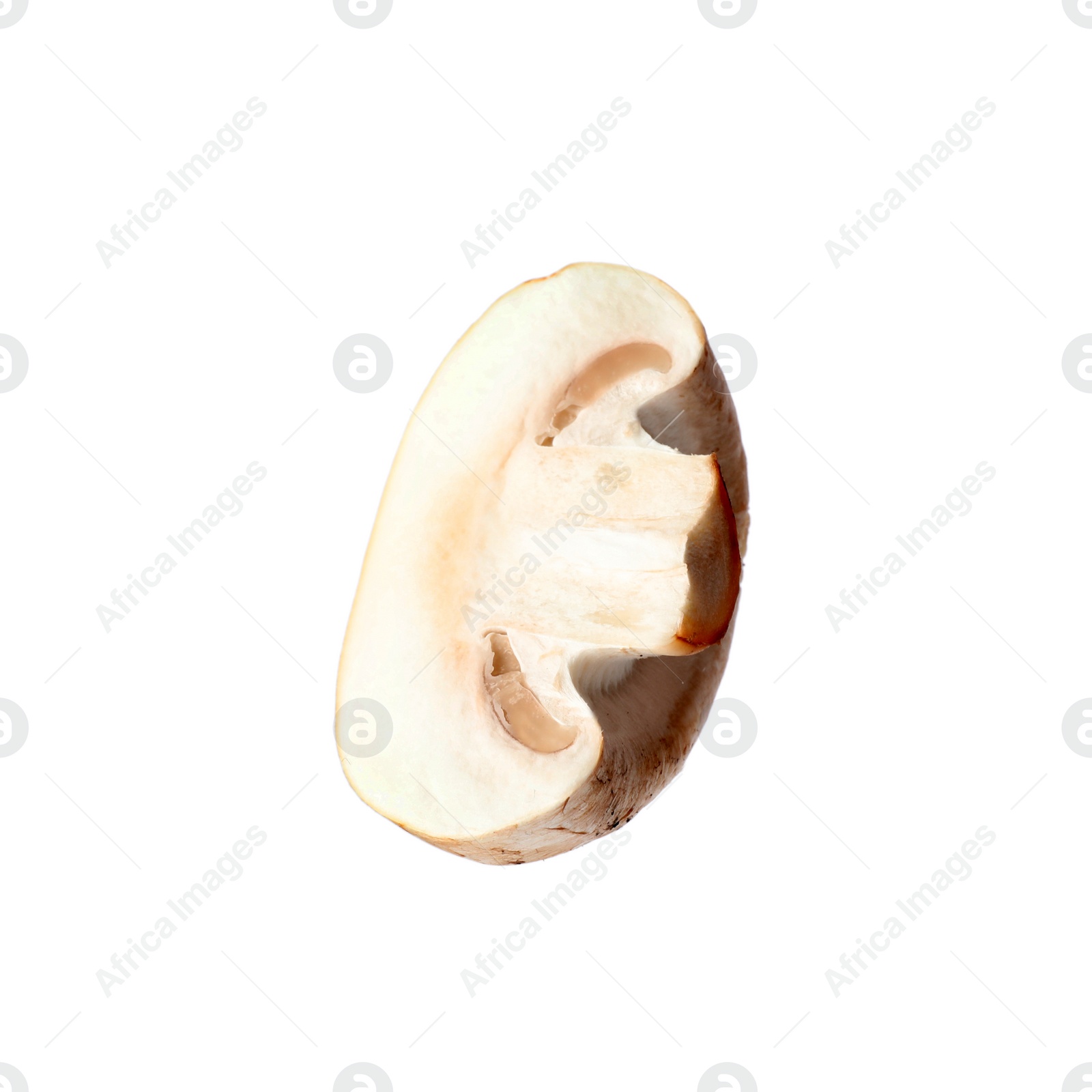 Photo of Piece of fresh mushroom on white background