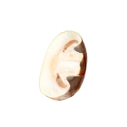 Photo of Piece of fresh mushroom on white background