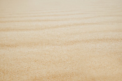 Photo of White rippled sandy surface in desert as background