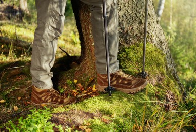 Man with trekking poles hiking in forest, closeup