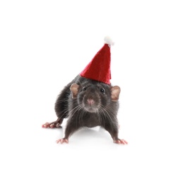 Cute little rat in Santa hat on white background. Chinese New Year symbol