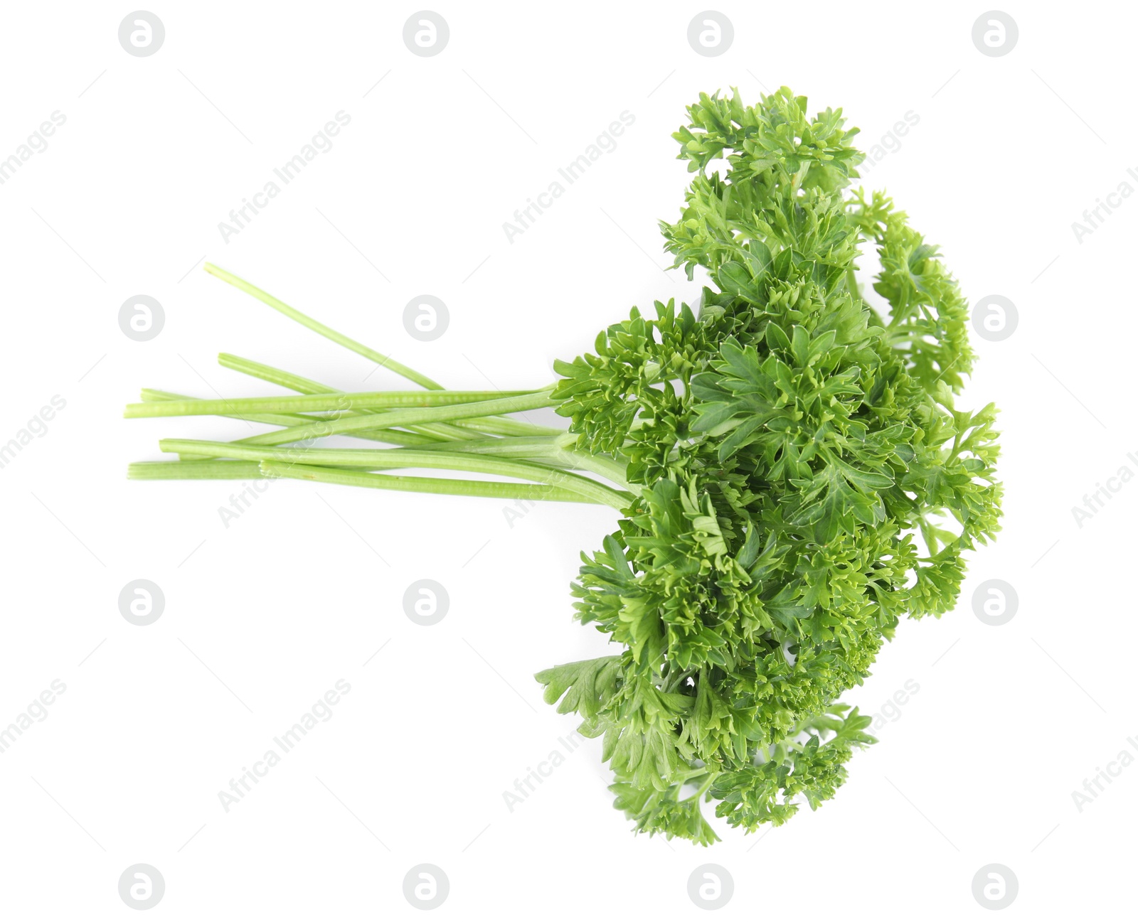 Photo of Fresh green organic parsley on white background