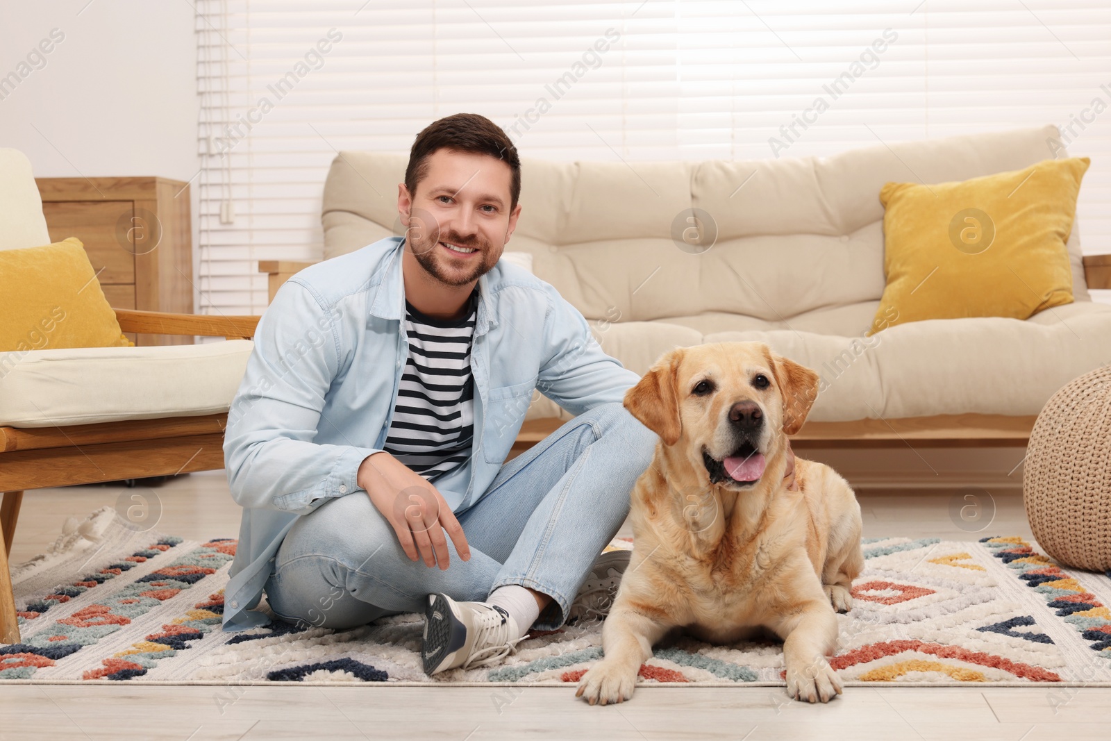 Photo of Man with adorable Labrador Retriever dog at home. Lovely pet