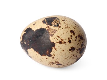 Photo of One speckled quail egg isolated on white