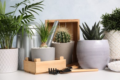 Photo of Different house plants in pots with gardening tools on white table