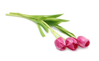 Photo of Beautiful pink tulip flowers isolated on white