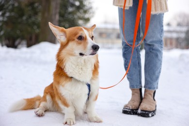 Photo of Woman with adorable Pembroke Welsh Corgi dog in snowy park, closeup