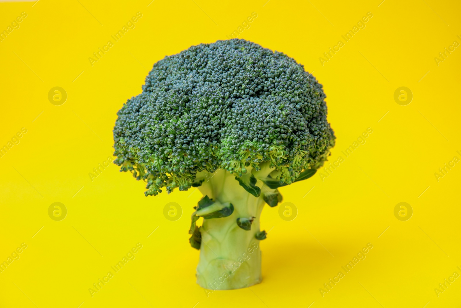 Photo of Fresh raw green broccoli on yellow background