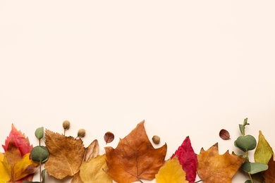 Flat lay composition with autumn leaves and space for text on white background