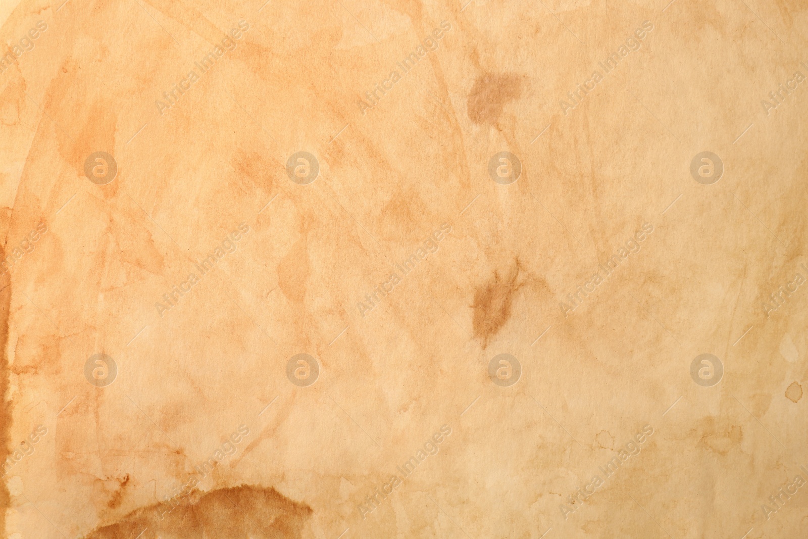 Photo of Sheet of old parchment paper as background, top view