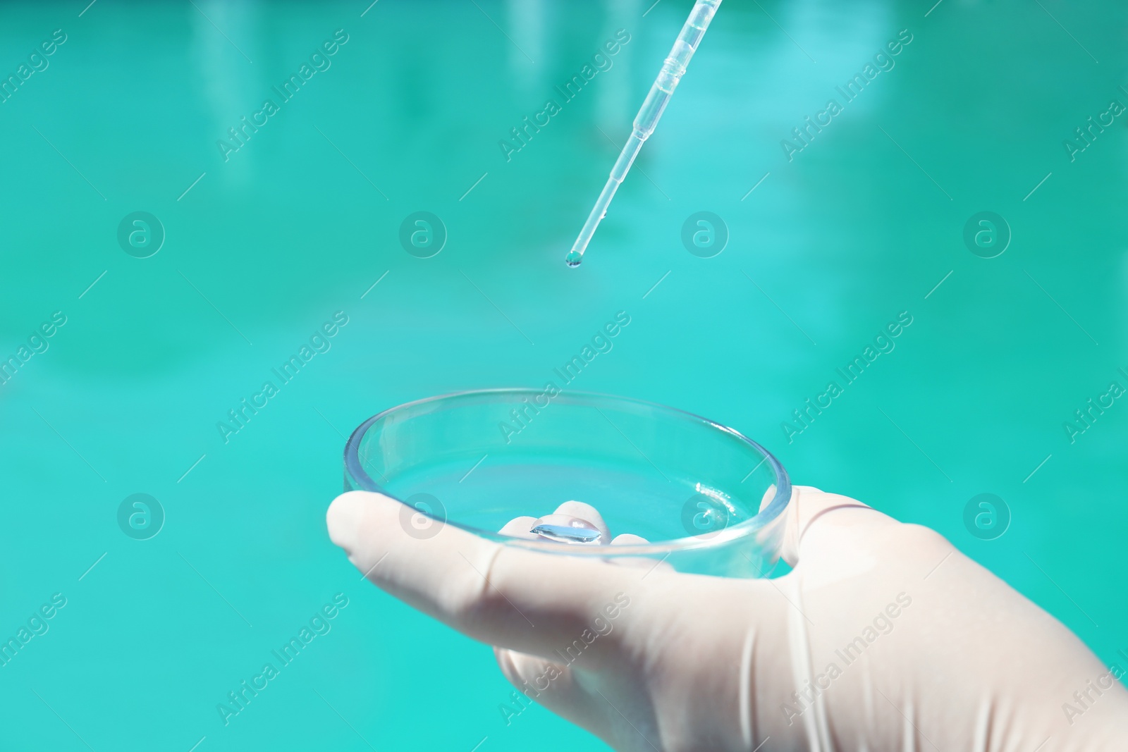 Photo of Woman dripping sample of swimming pool water into Petri dish to check PH level outdoors, closeup