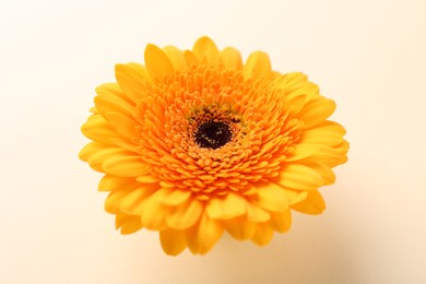 Photo of Beautiful yellow gerbera flower on beige background, closeup