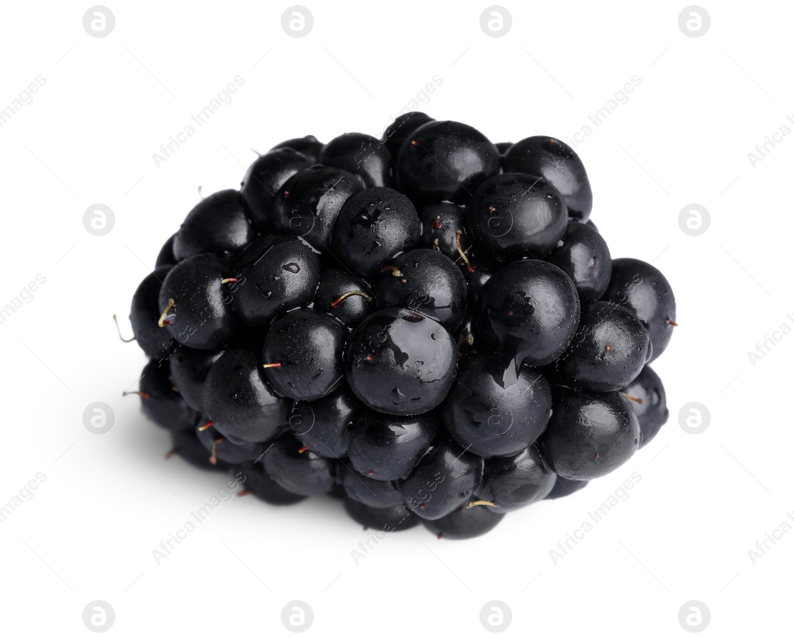 Photo of One tasty ripe blackberry isolated on white