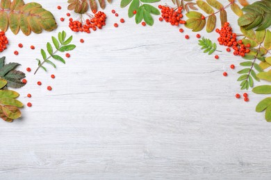 Fresh ripe rowan berries and green leaves on white wooden table, flat lay. Space for text