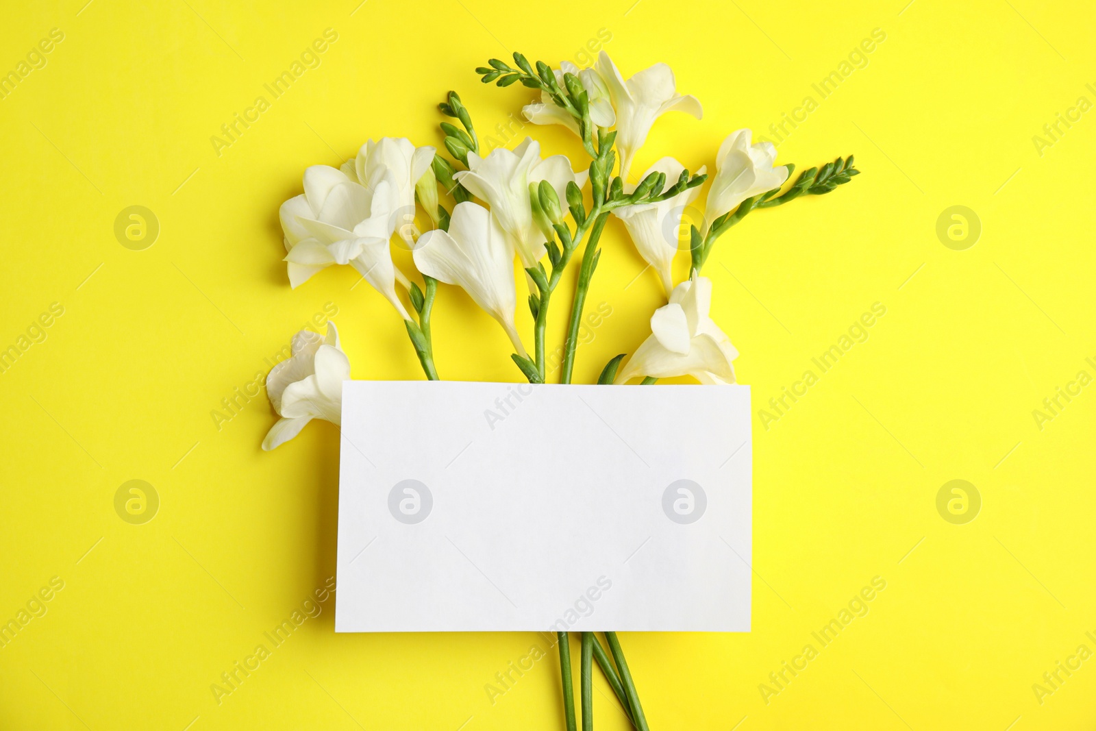 Photo of Beautiful spring freesia flowers and blank card on yellow background, flat lay. Space for text