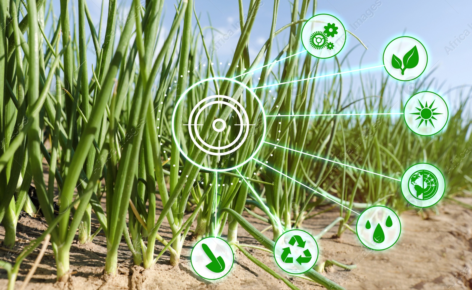 Image of Modern agriculture concept. Icons and field on background