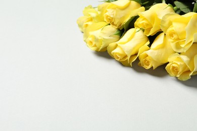 Beautiful yellow roses on light grey background, closeup. Space for text