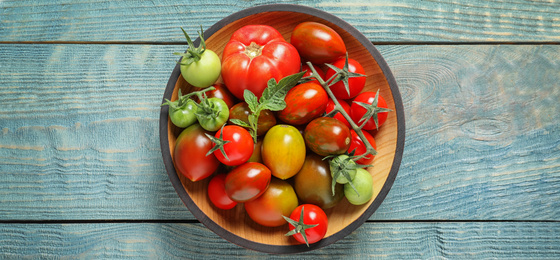 Image of Bowl with different tomatoes on wooden table, top view. Banner design 