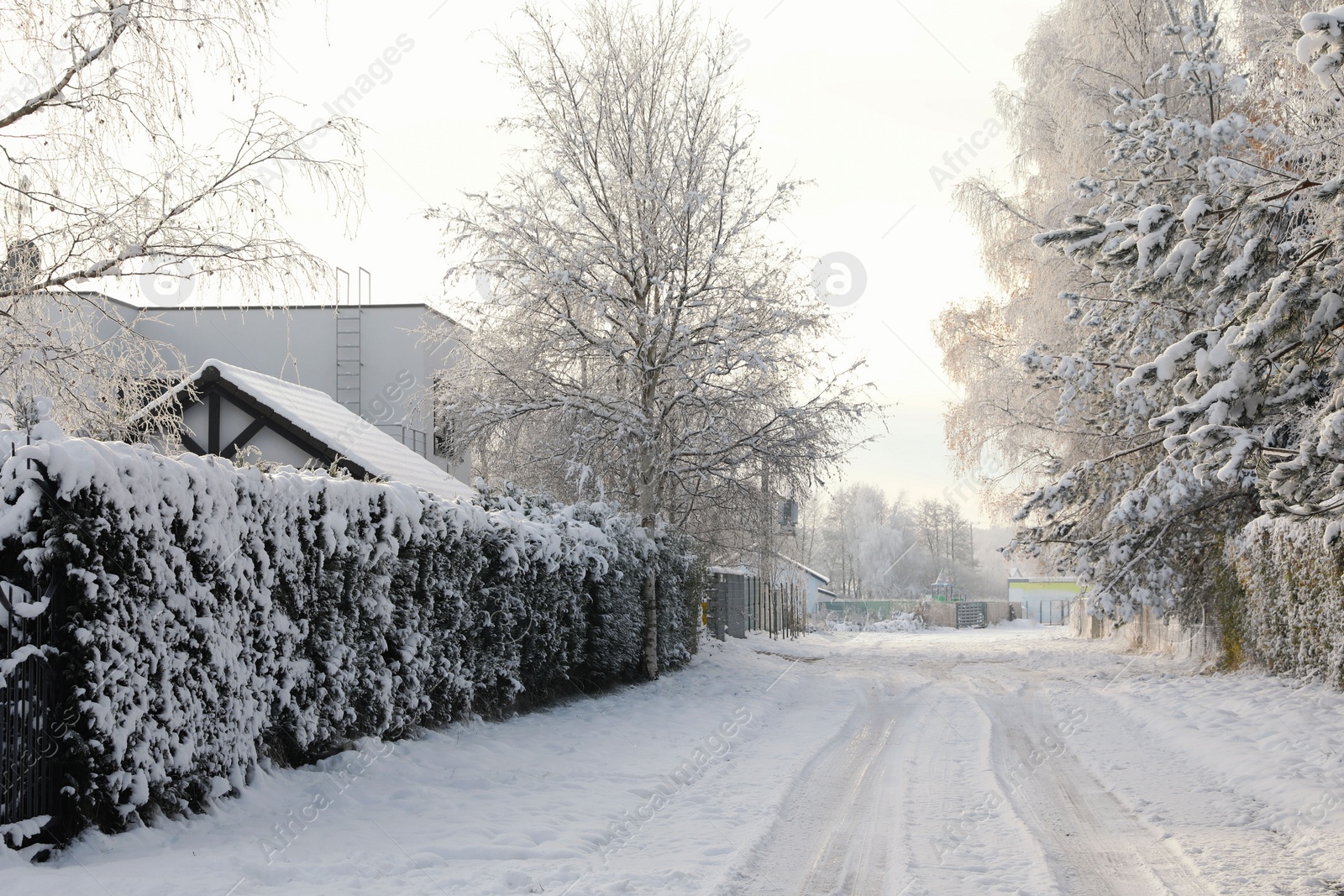 Photo of Beautiful view of city street with cottages and trees on winter day