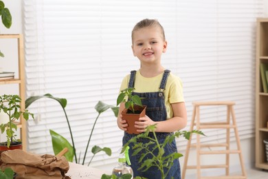 Photo of Planting seedlings. Cute little girl with green plant in room