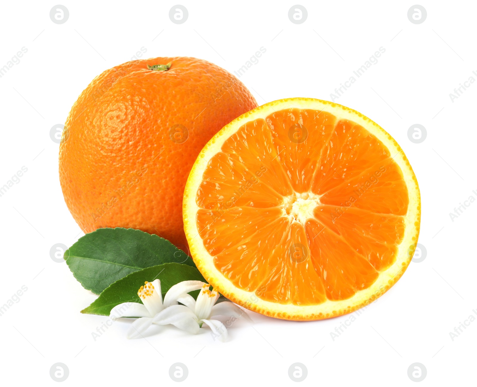 Photo of Ripe oranges, leaves and flowers on white background. Citrus fruit