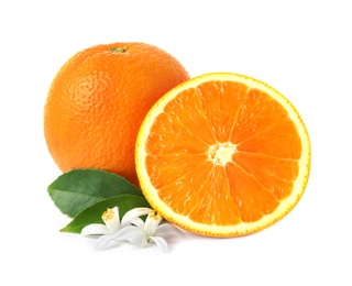 Ripe oranges, leaves and flowers on white background. Citrus fruit