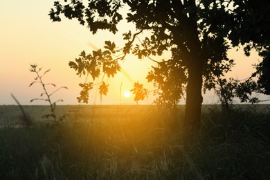 Photo of Picturesque view of countryside sunrise in morning