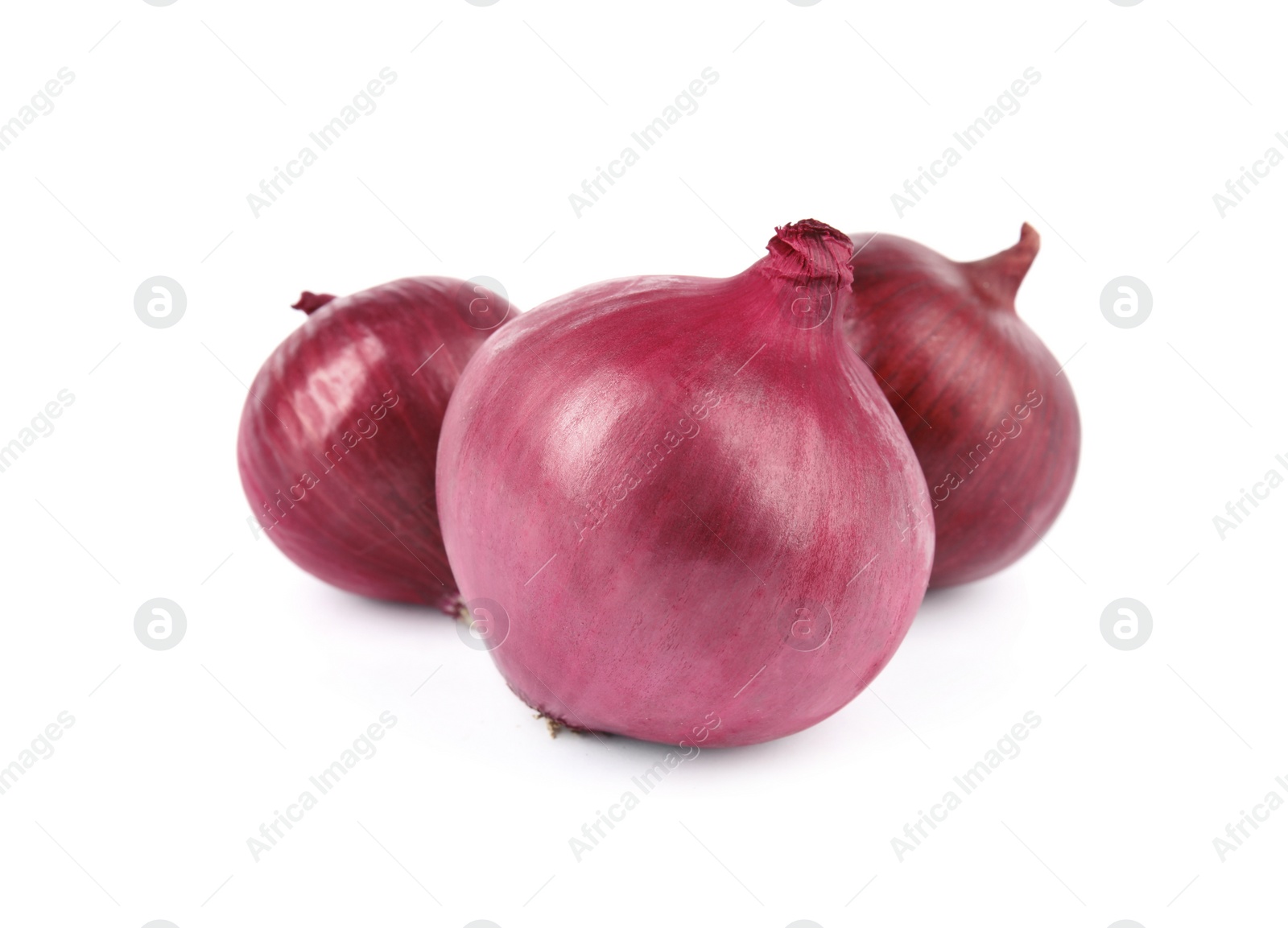 Photo of Fresh whole red onions on white background