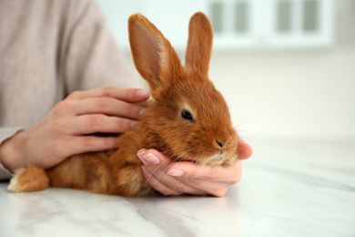 Photo of Young woman with adorable rabbit at table indoors, closeup. Lovely pet