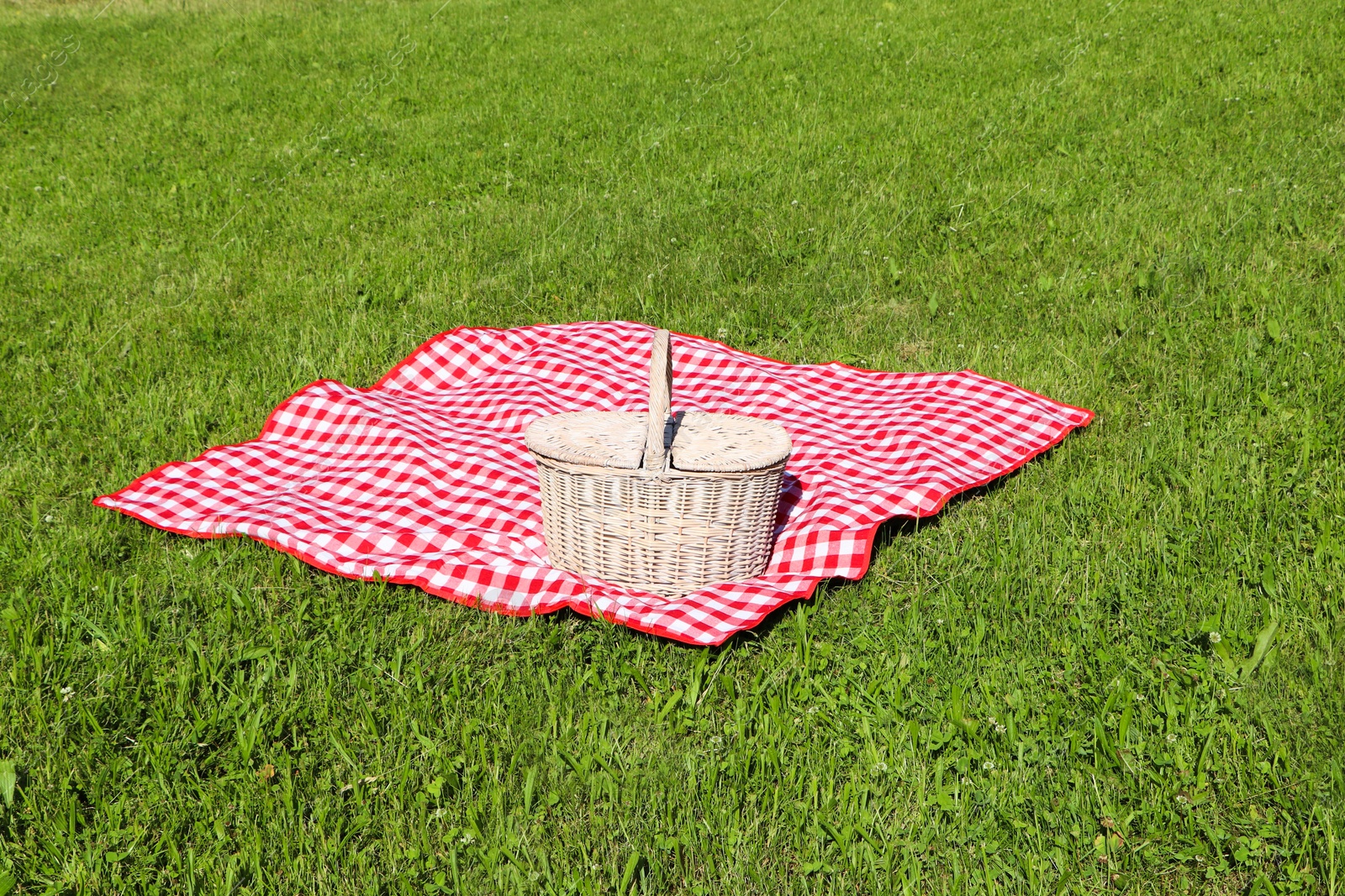 Photo of Picnic basket with checkered tablecloth on green grass outdoors