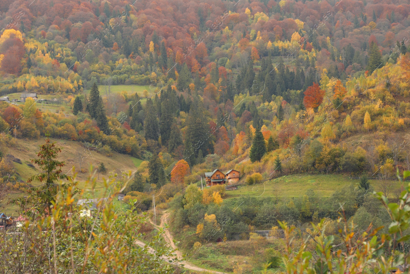 Photo of Beautiful view of forest and mountain village on autumn day