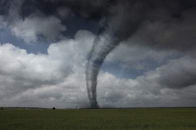 Image of Dangerous whirlwind at agricultural field. Weather phenomenon