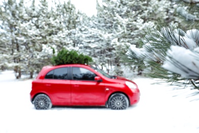 Photo of Car with fir tree on roof in snowy winter forest. Space for text