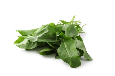 Photo of Bunch of fresh green sorrel leaves on white background