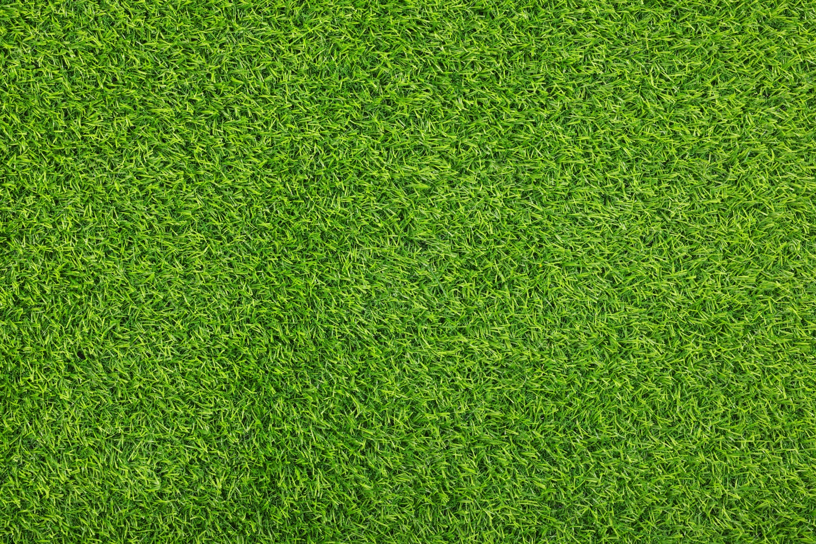 Photo of Green artificial grass as background, top view