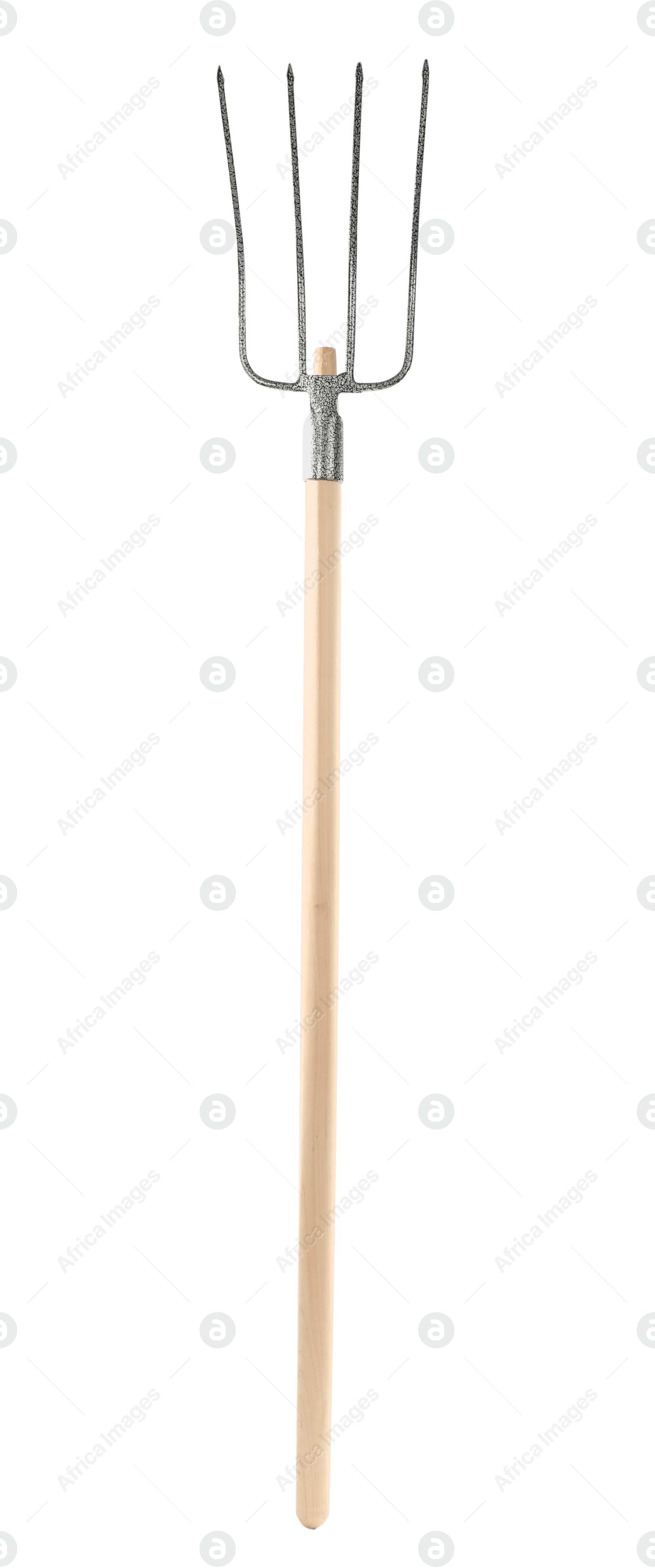 Photo of Modern pitchfork isolated on white. Gardening tool