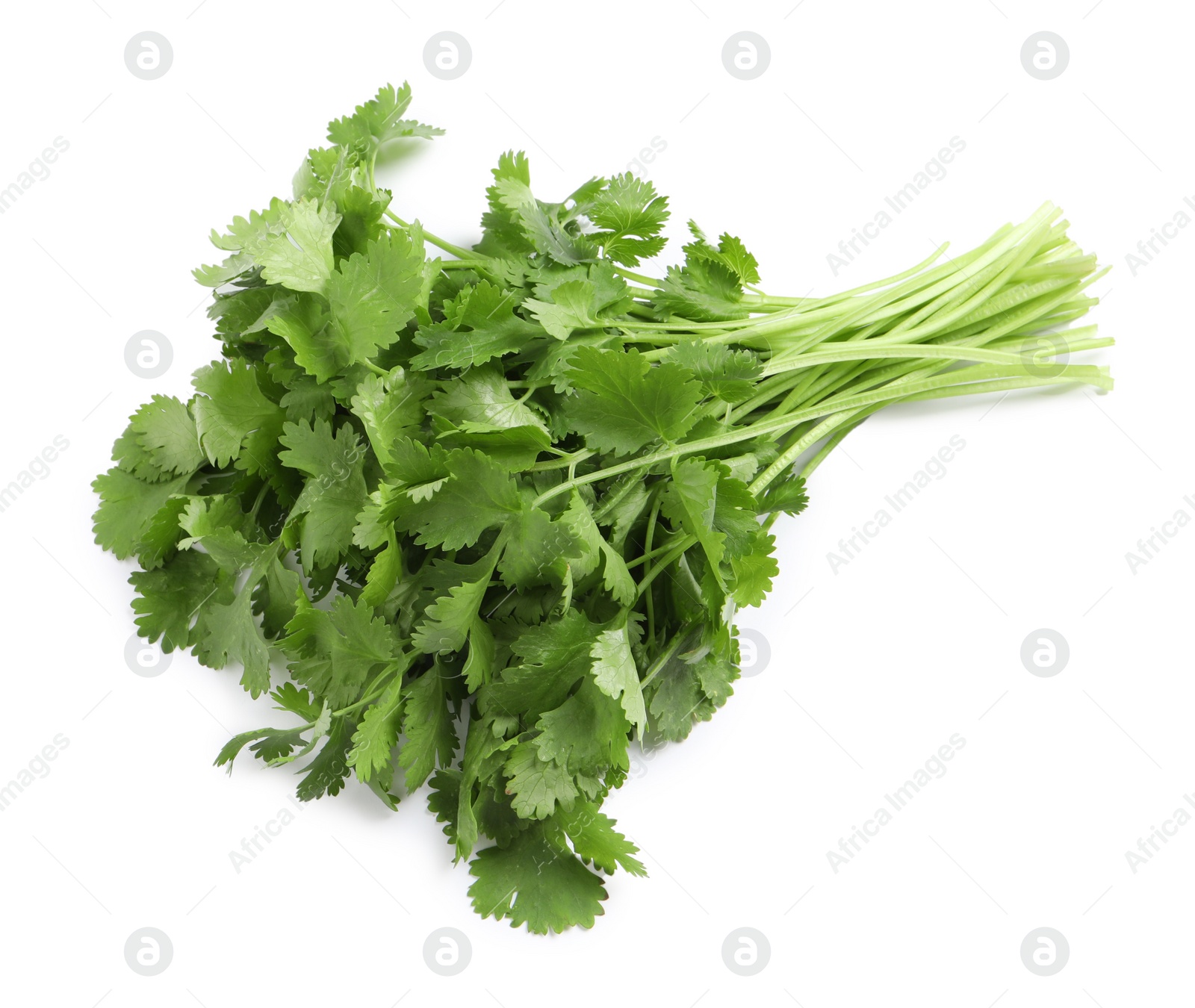 Photo of Bunch of fresh coriander on white background, top view