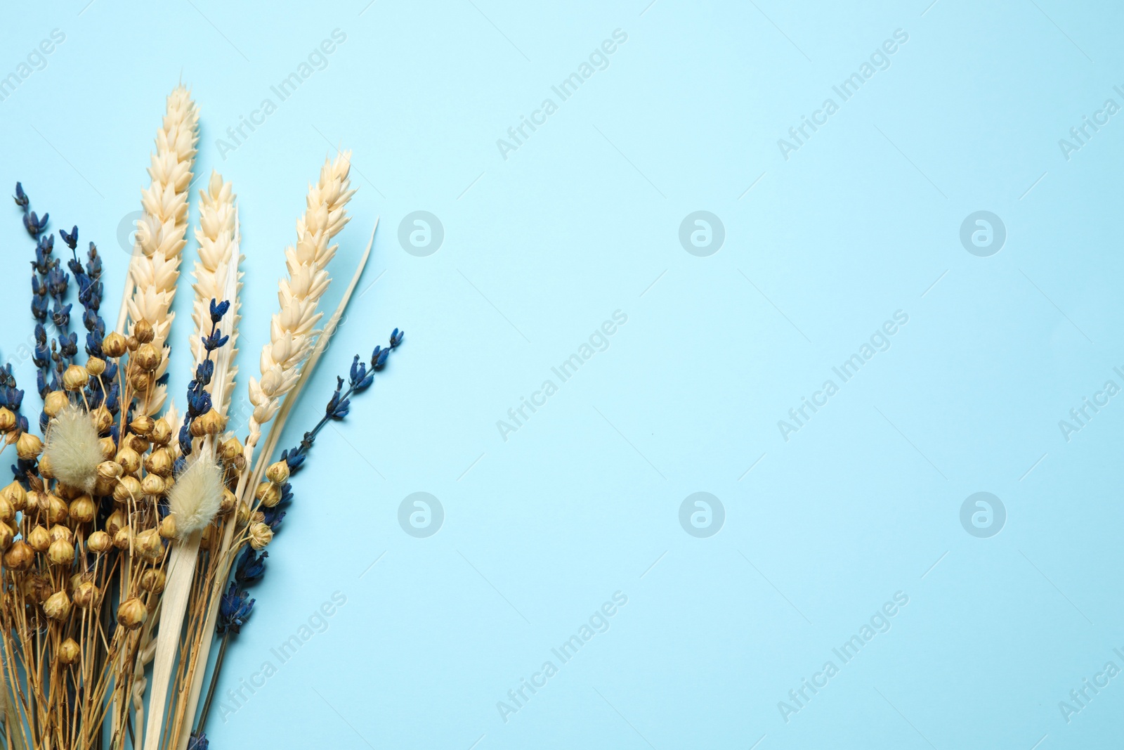 Photo of Bouquet of dried flowers on light blue background, flat lay. Space for text