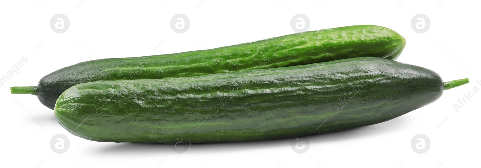 Photo of Two long fresh cucumbers isolated on white