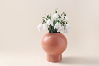 Photo of Beautiful snowdrops in vase on beige background
