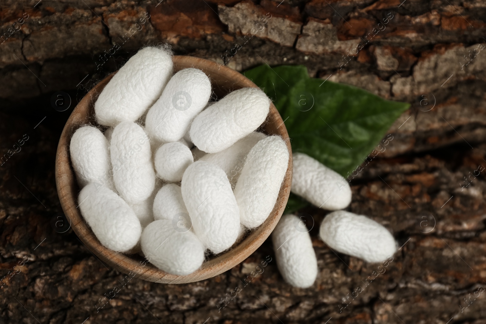 Photo of White silk cocoons with wooden bowl and mulberry leaf on tree bark, top view