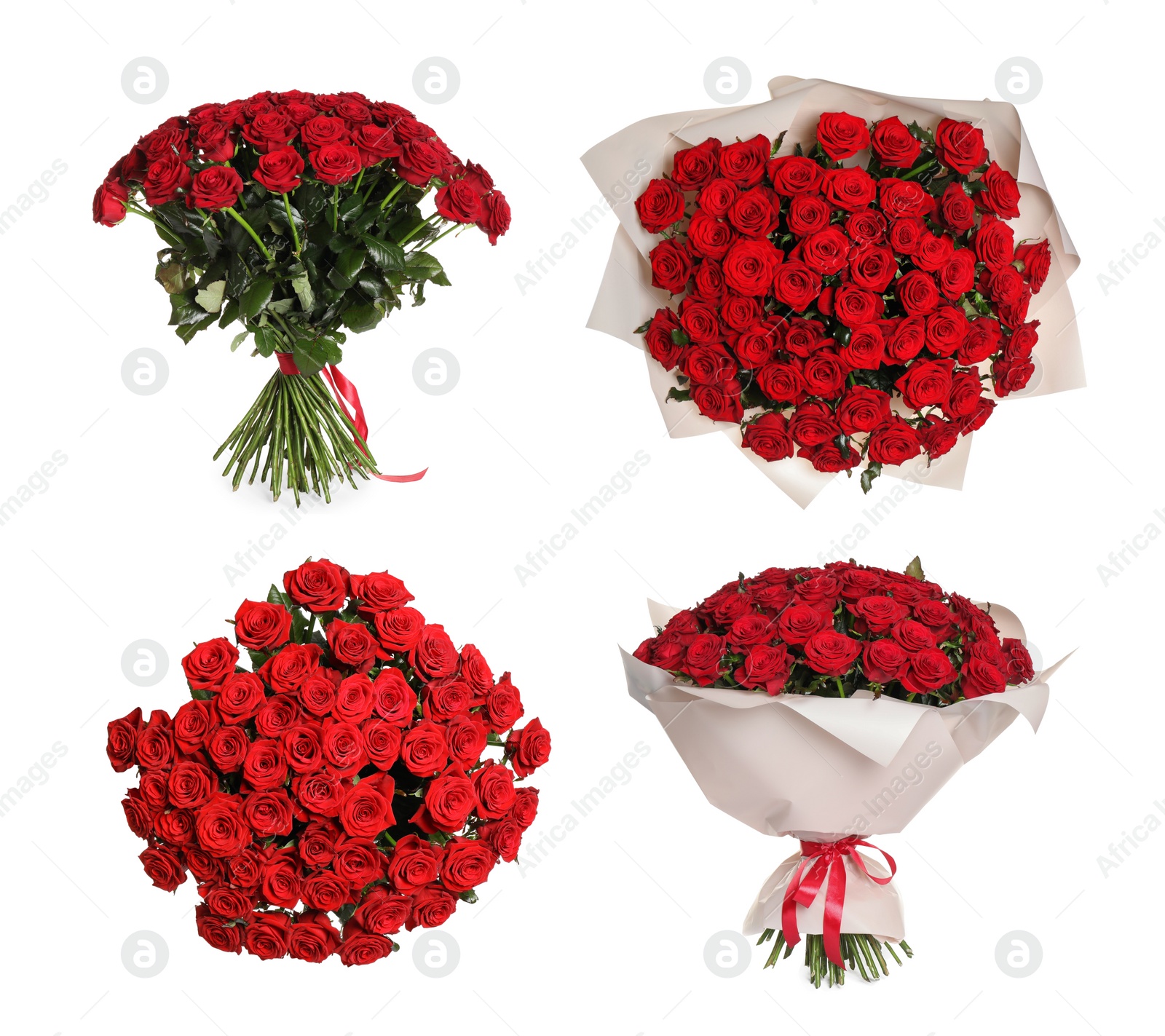 Image of Set with beautiful bouquets of red roses on white background