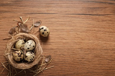 Photo of Nest with quail eggs and feathers on wooden table, flat lay. Space for text