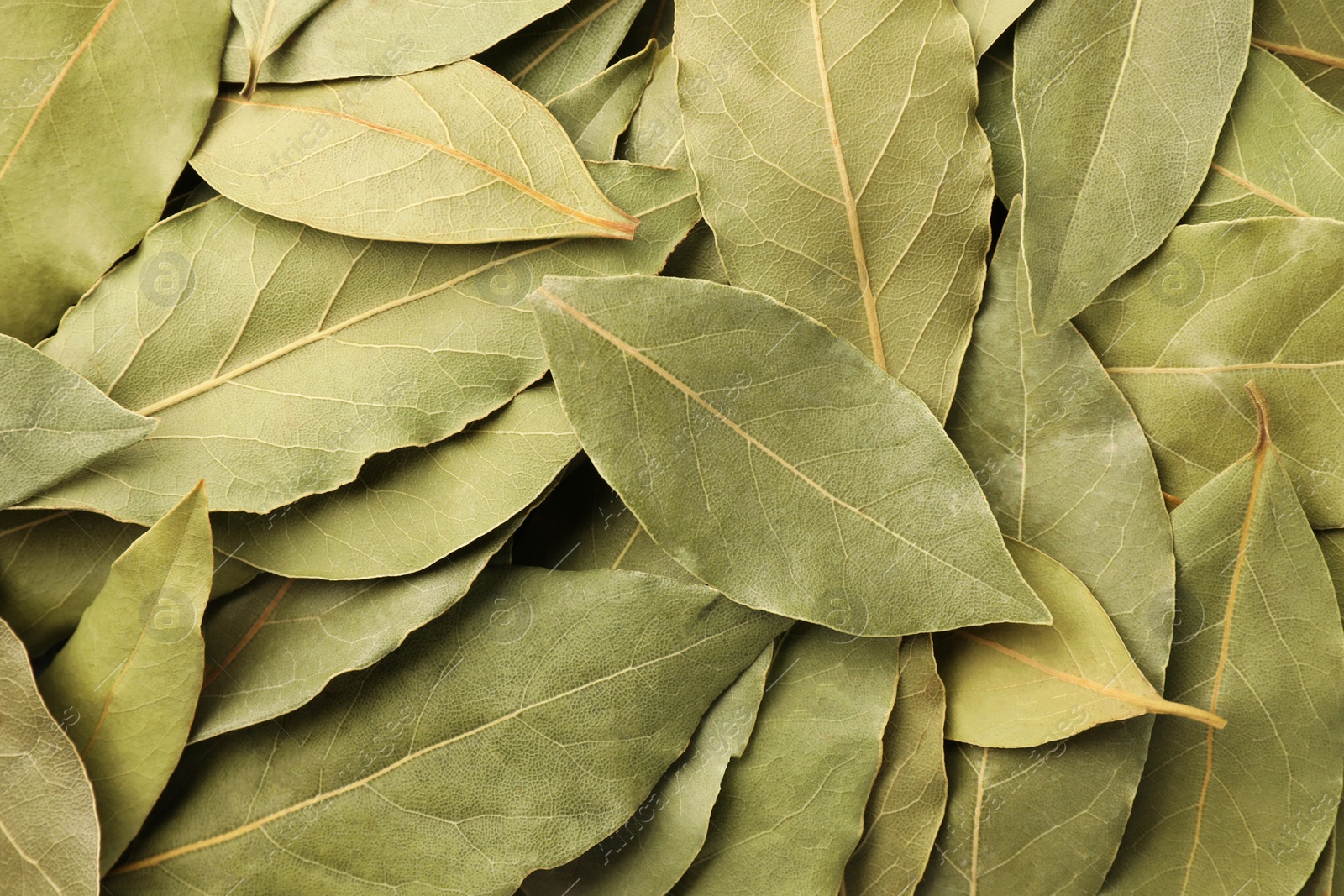 Photo of Aromatic bay leaves as background, top view