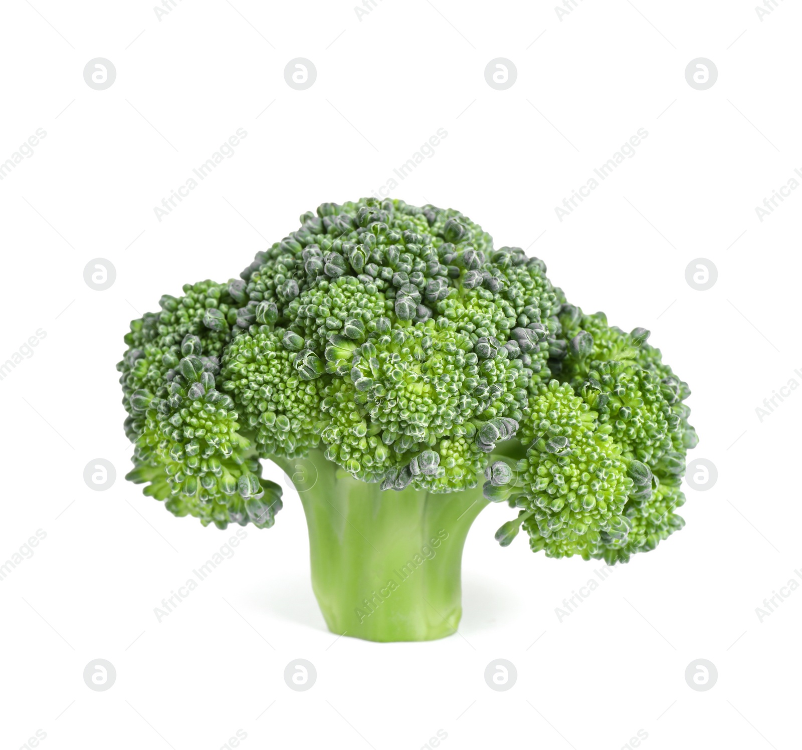 Photo of Fresh green raw broccoli on white background