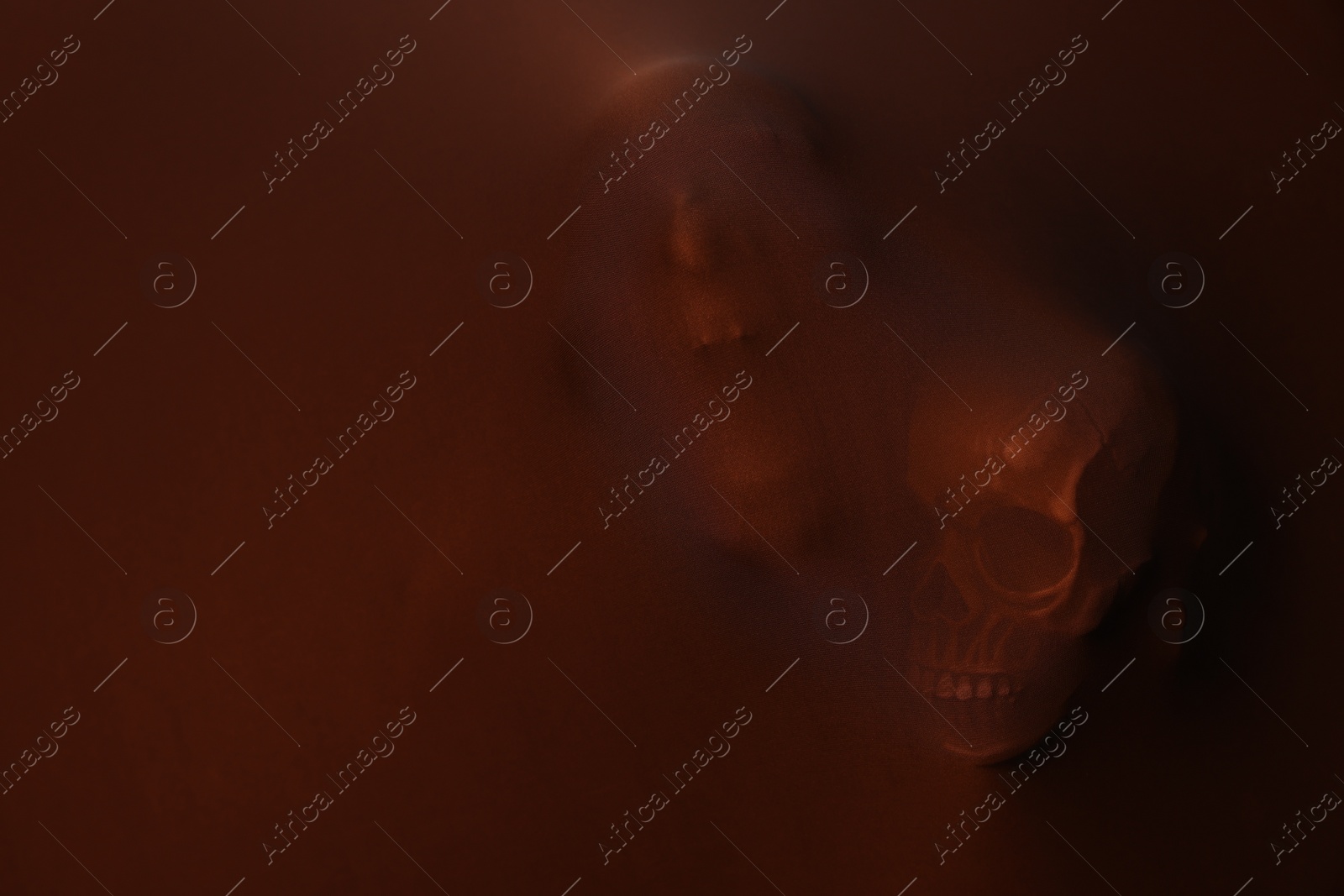 Photo of Silhouette of creepy ghost with skulls behind brown cloth. Space for text
